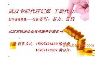 湖北一流的工商代办与税务代理服务 江岸区企业发展的专业伙伴