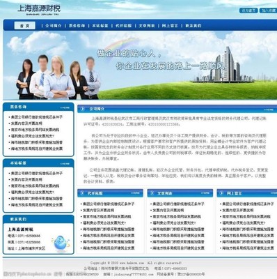 财税代理服务 企业稳健发展的税务护航者