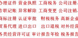 港口企业高效办理营业执照与税务登记全攻略