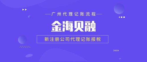 金海贝融财税代办 高效企业注册与专业代理记账服务